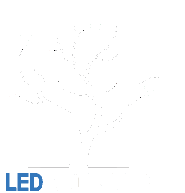LED Informatica